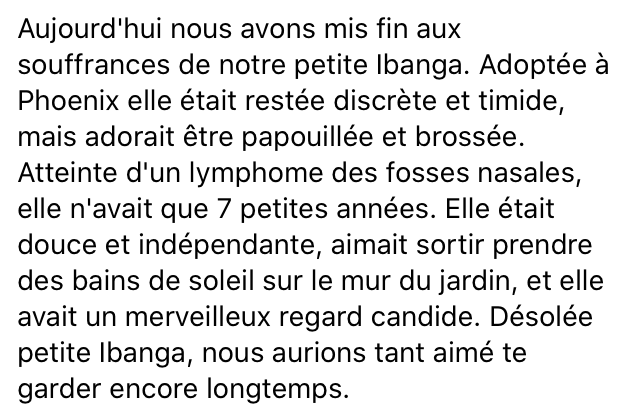 Ibanga texte