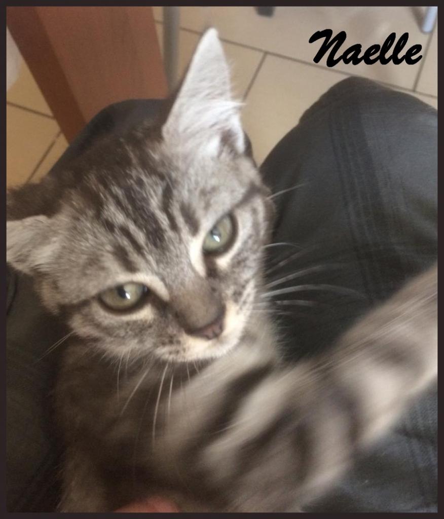 Naelle - F - Née le 25/05/2017, adoptée en septembre 2017