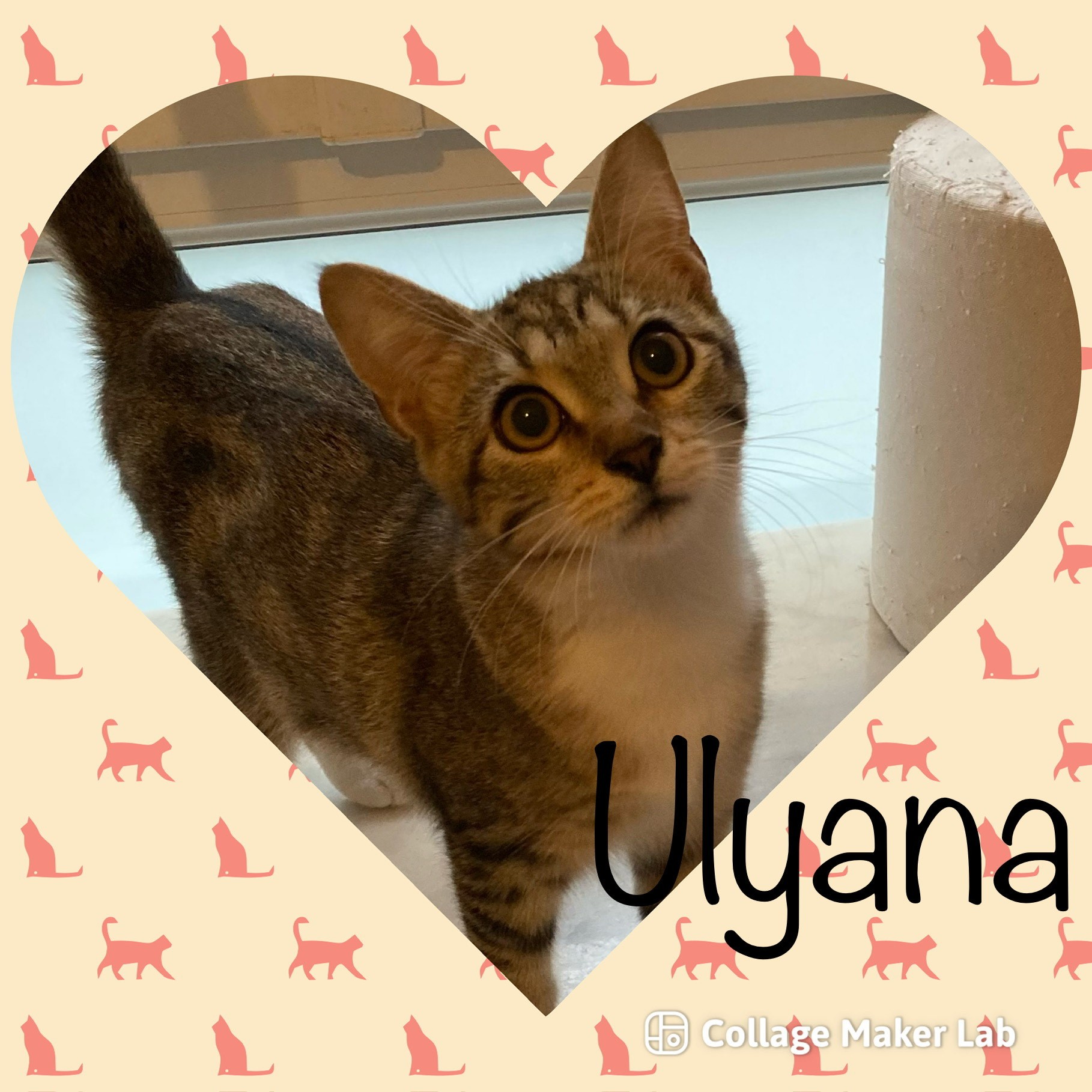 Ulyana - F - née le 25/4/23 adoptée en oct 2023