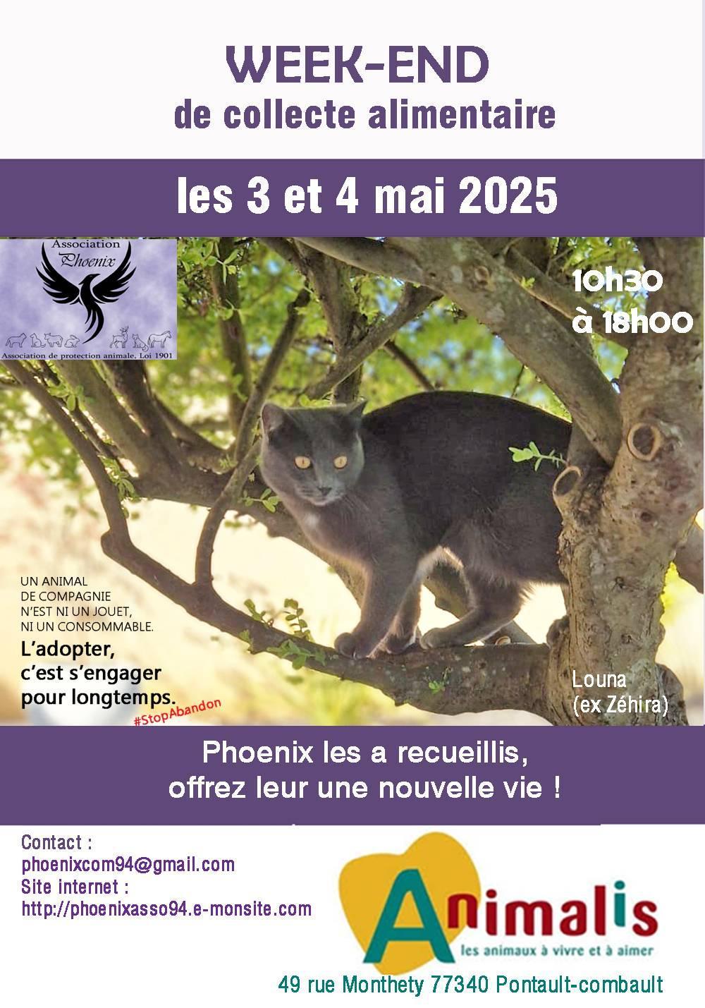 Affiche 1